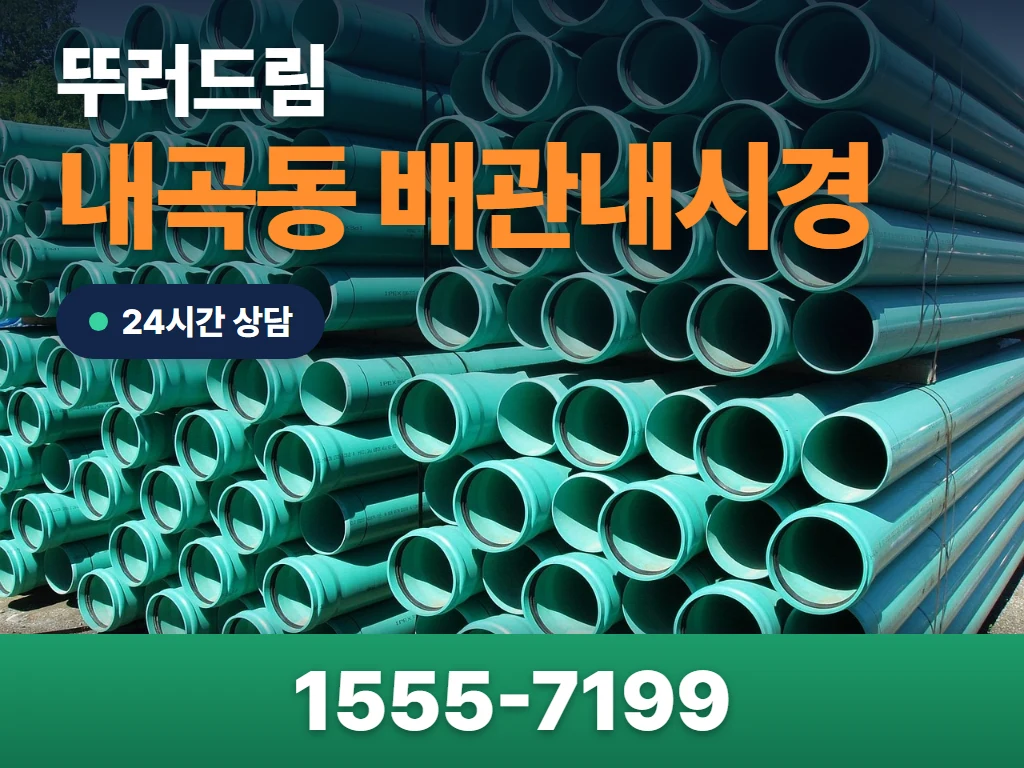 내곡동 배관내시경 현장