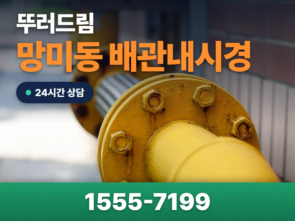 망미동 배관내시경 현장