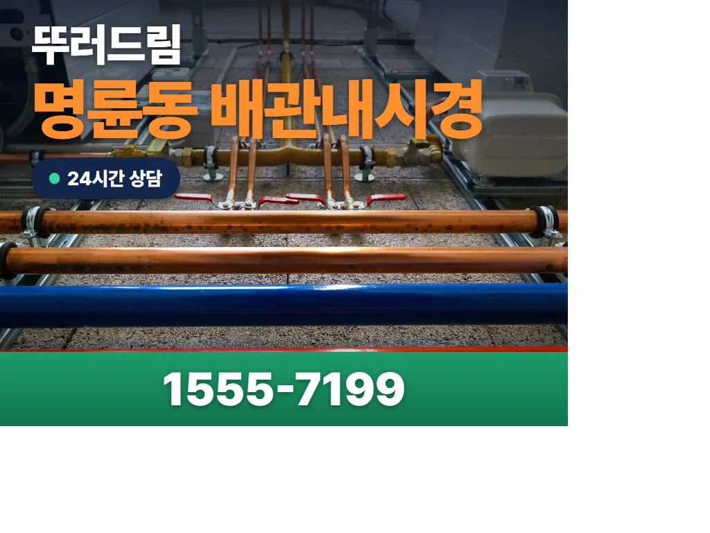 명륜동 배관내시경 현장