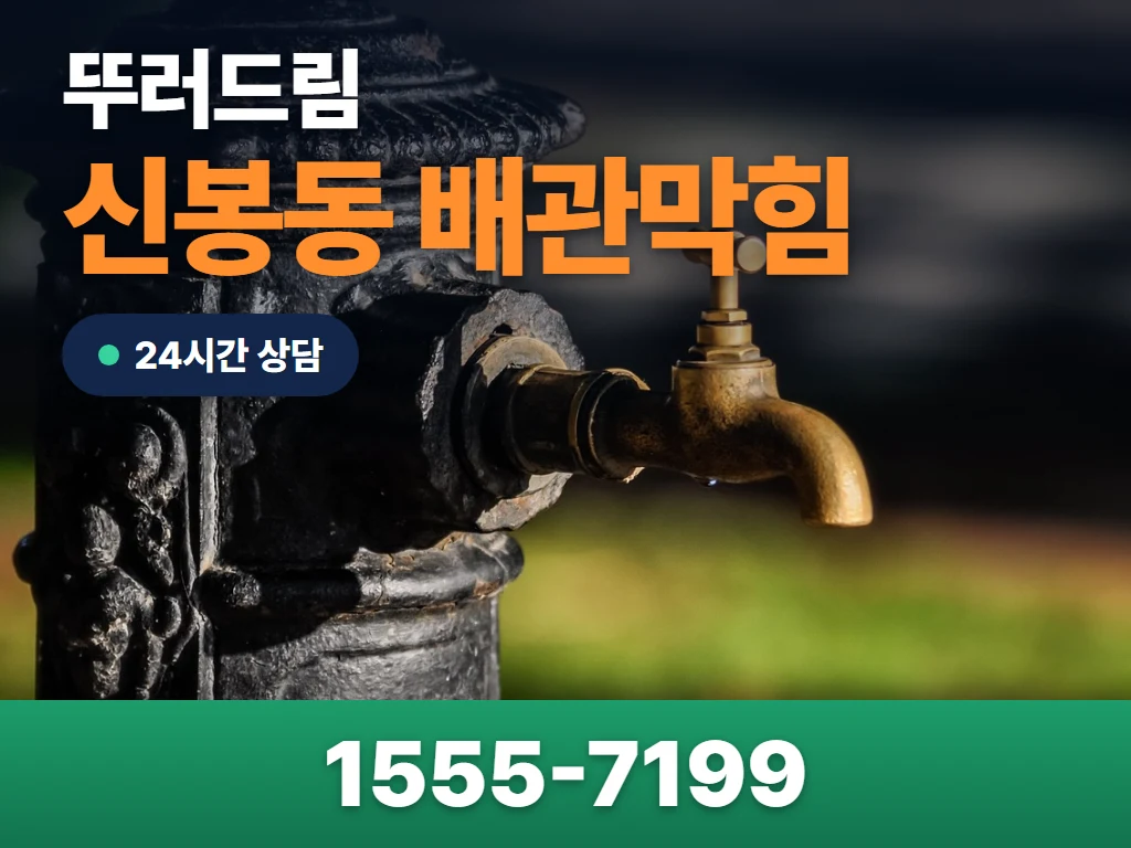 신봉동 배관막힘 현장