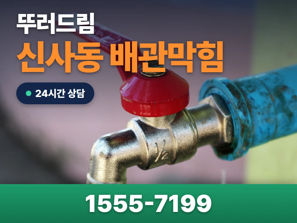 신사동 배관막힘 현장