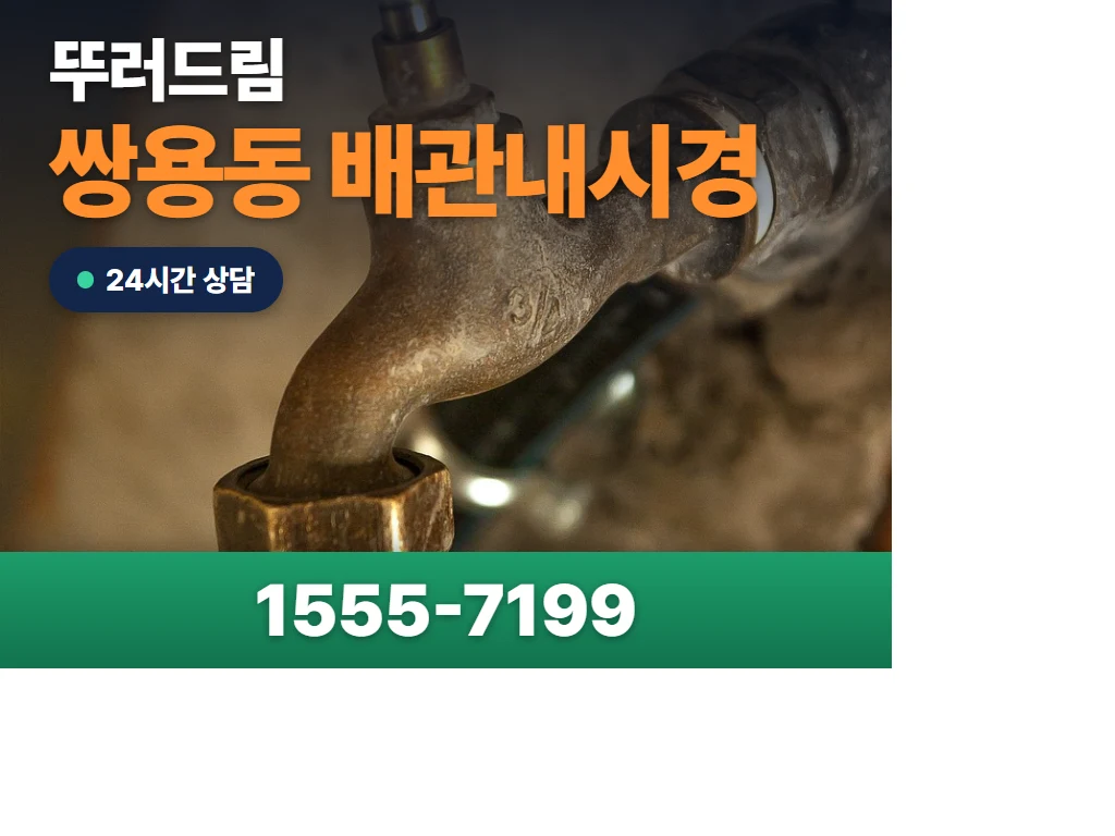 쌍용동 배관내시경 현장