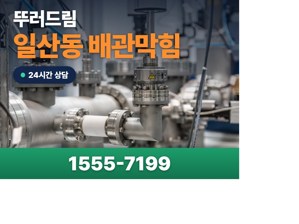 일산동 배관막힘 현장